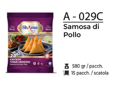 SAMOSA DI POLLO A - 029C
