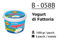 YOGURT DI FATTORIA 1000 GR B - 058B